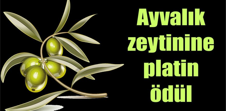 Ayvalık zeytinine platin ödül