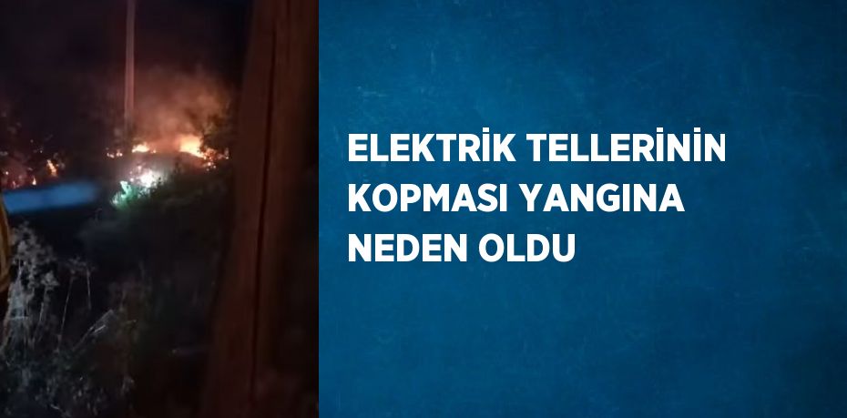 ELEKTRİK TELLERİNİN KOPMASI YANGINA NEDEN OLDU