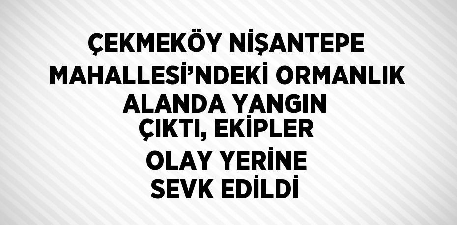ÇEKMEKÖY NİŞANTEPE MAHALLESİ’NDEKİ ORMANLIK ALANDA YANGIN ÇIKTI, EKİPLER OLAY YERİNE SEVK EDİLDİ
