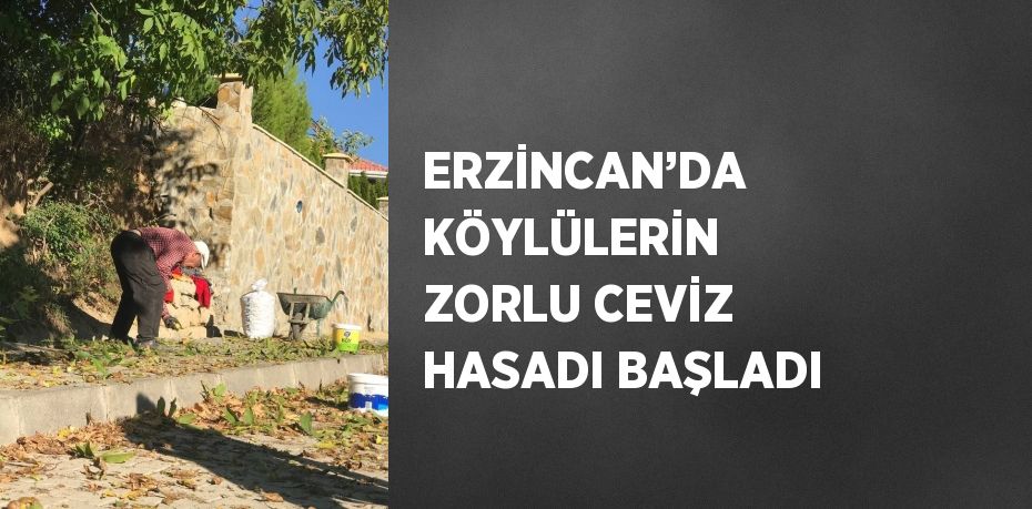 ERZİNCAN’DA KÖYLÜLERİN ZORLU CEVİZ HASADI BAŞLADI