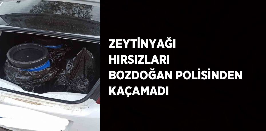 ZEYTİNYAĞI HIRSIZLARI BOZDOĞAN POLİSİNDEN KAÇAMADI