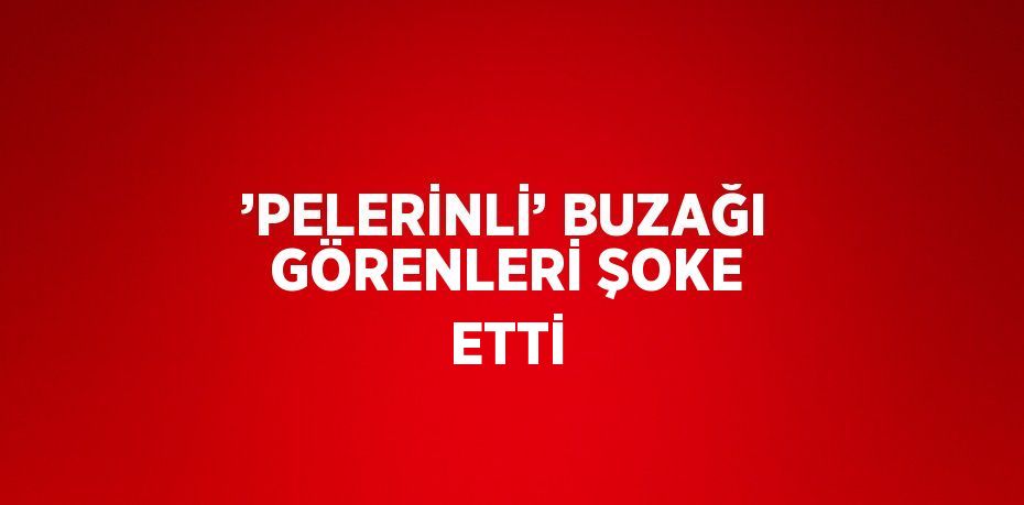 ’PELERİNLİ’ BUZAĞI GÖRENLERİ ŞOKE ETTİ