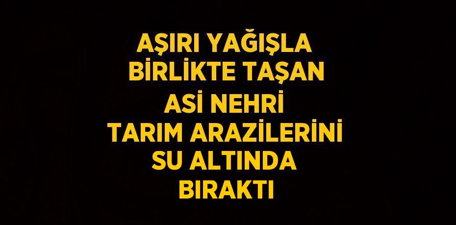AŞIRI YAĞIŞLA BİRLİKTE TAŞAN ASİ NEHRİ TARIM ARAZİLERİNİ SU ALTINDA BIRAKTI