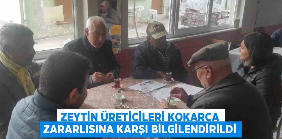 ZEYTİN ÜRETİCİLERİ KOKARCA ZARARLISINA KARŞI BİLGİLENDİRİLDİ