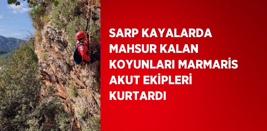 SARP KAYALARDA MAHSUR KALAN KOYUNLARI MARMARİS AKUT EKİPLERİ KURTARDI