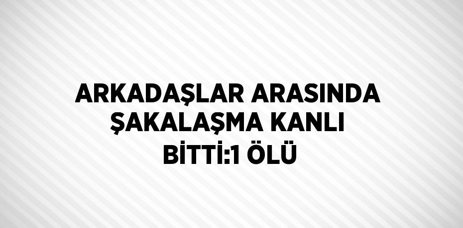 ARKADAŞLAR ARASINDA ŞAKALAŞMA KANLI BİTTİ:1 ÖLÜ