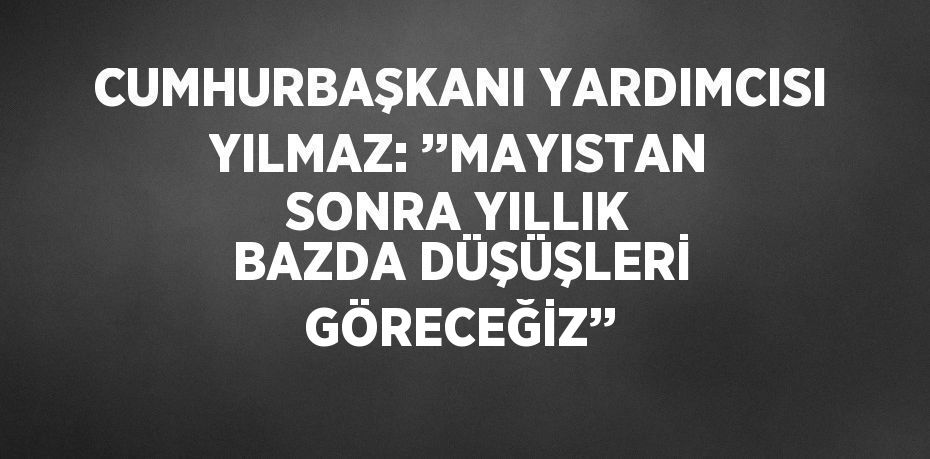 CUMHURBAŞKANI YARDIMCISI YILMAZ: ’’MAYISTAN SONRA YILLIK BAZDA DÜŞÜŞLERİ GÖRECEĞİZ’’