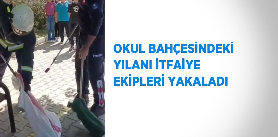 OKUL BAHÇESİNDEKİ YILANI İTFAİYE EKİPLERİ YAKALADI