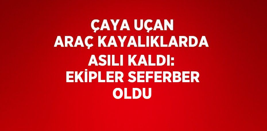 ÇAYA UÇAN ARAÇ KAYALIKLARDA ASILI KALDI: EKİPLER SEFERBER OLDU