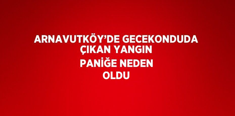 ARNAVUTKÖY’DE GECEKONDUDA ÇIKAN YANGIN PANİĞE NEDEN OLDU
