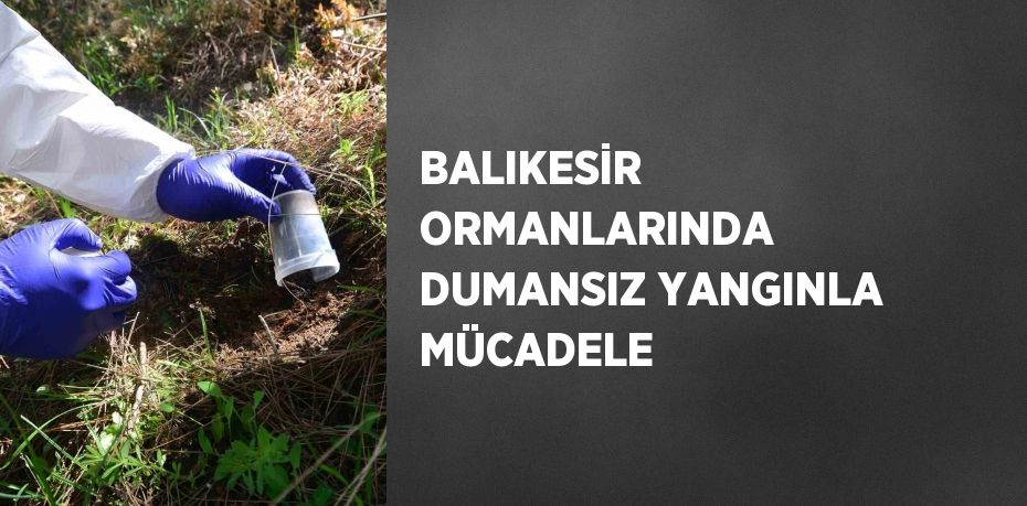 BALIKESİR ORMANLARINDA DUMANSIZ YANGINLA MÜCADELE