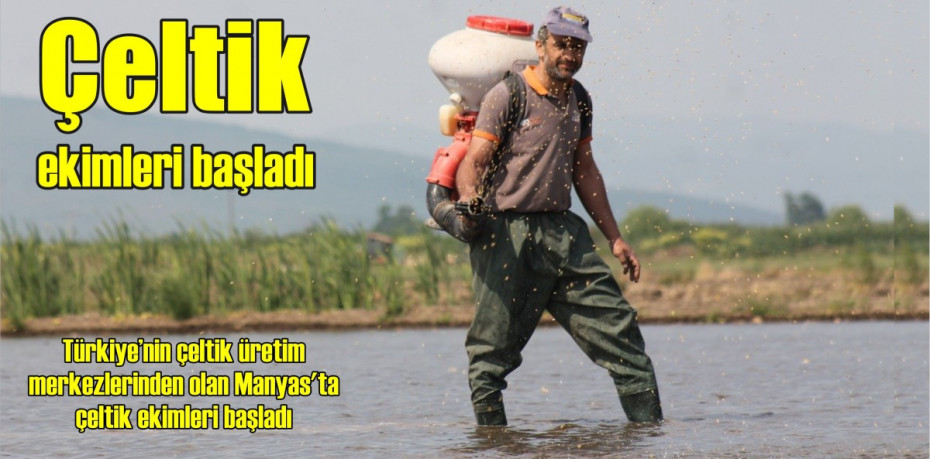 Çeltik ekimleri başladı
