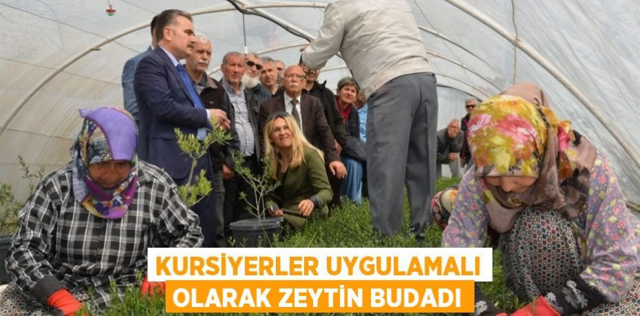 Kursiyerler uygulamalı olarak zeytin budadı