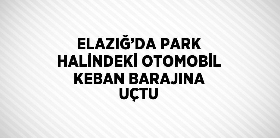 ELAZIĞ’DA PARK HALİNDEKİ OTOMOBİL KEBAN BARAJINA UÇTU