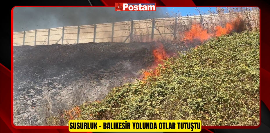 Susurluk - Balıkesir yolunda otlar tutuştu