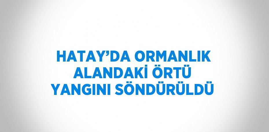 HATAY’DA ORMANLIK ALANDAKİ ÖRTÜ YANGINI SÖNDÜRÜLDÜ