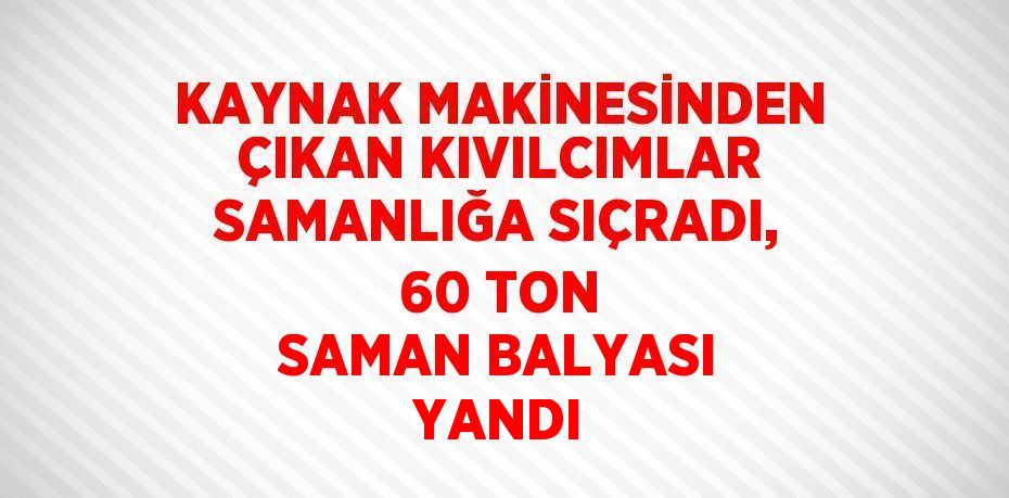 KAYNAK MAKİNESİNDEN ÇIKAN KIVILCIMLAR SAMANLIĞA SIÇRADI, 60 TON SAMAN BALYASI YANDI