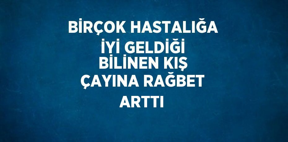 BİRÇOK HASTALIĞA İYİ GELDİĞİ BİLİNEN KIŞ ÇAYINA RAĞBET ARTTI
