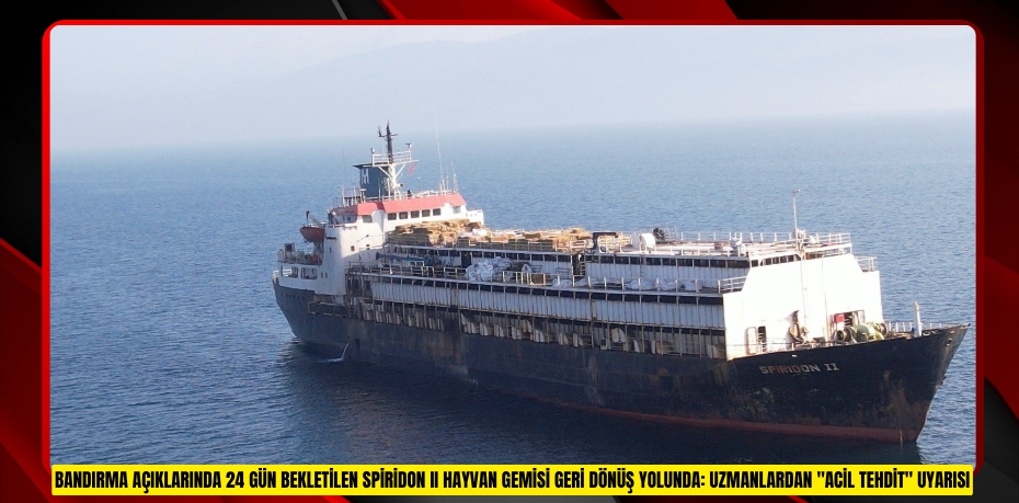 Bandırma açıklarında 24 gün bekletilen Spiridon II hayvan gemisi geri dönüş yolunda: Uzmanlardan "acil tehdit" uyarısı