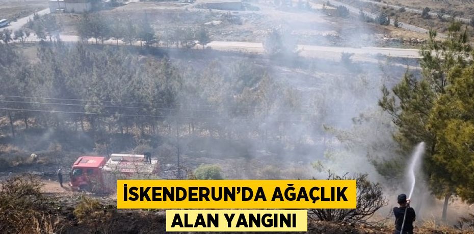 İSKENDERUN’DA AĞAÇLIK ALAN YANGINI