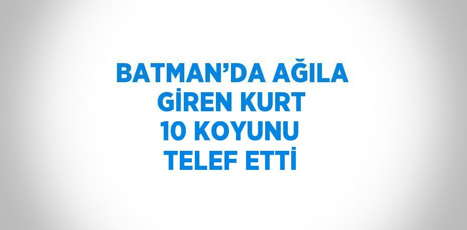 BATMAN’DA AĞILA GİREN KURT 10 KOYUNU TELEF ETTİ