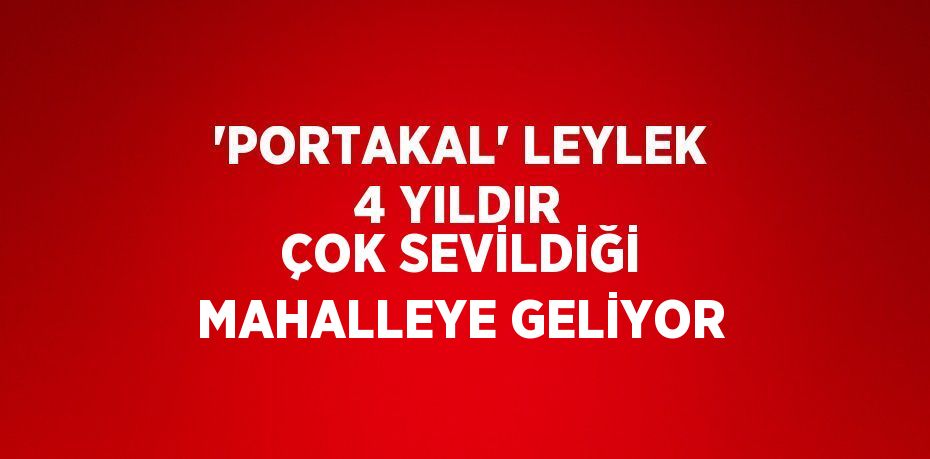 'PORTAKAL' LEYLEK 4 YILDIR ÇOK SEVİLDİĞİ MAHALLEYE GELİYOR