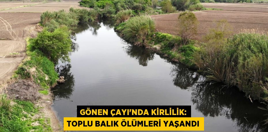 Gönen Çayı'nda kirlilik: Toplu balık ölümleri yaşandı