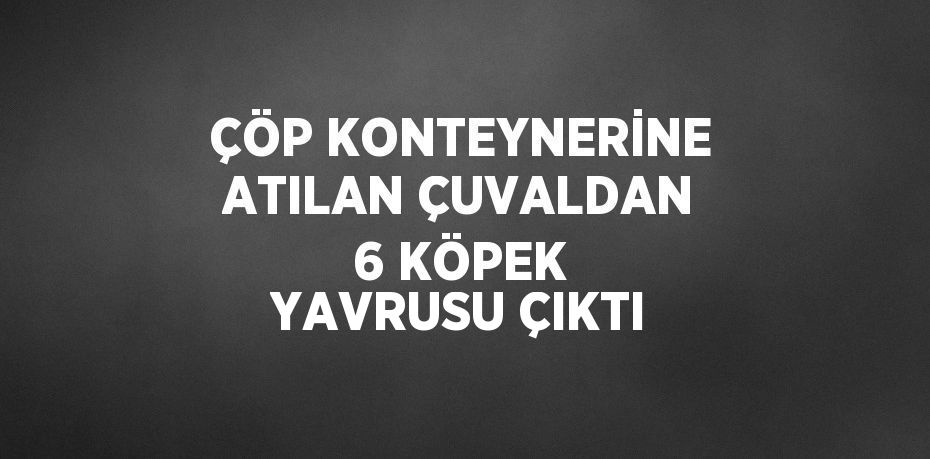 ÇÖP KONTEYNERİNE ATILAN ÇUVALDAN 6 KÖPEK YAVRUSU ÇIKTI
