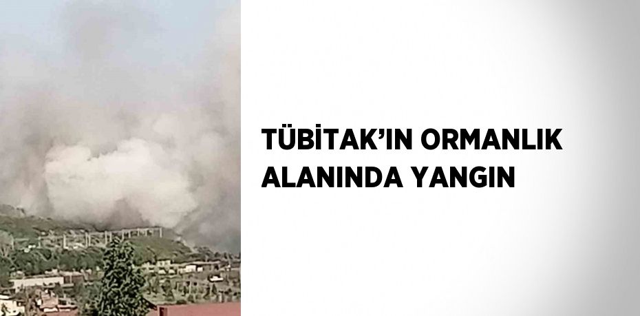 TÜBİTAK’IN ORMANLIK ALANINDA YANGIN