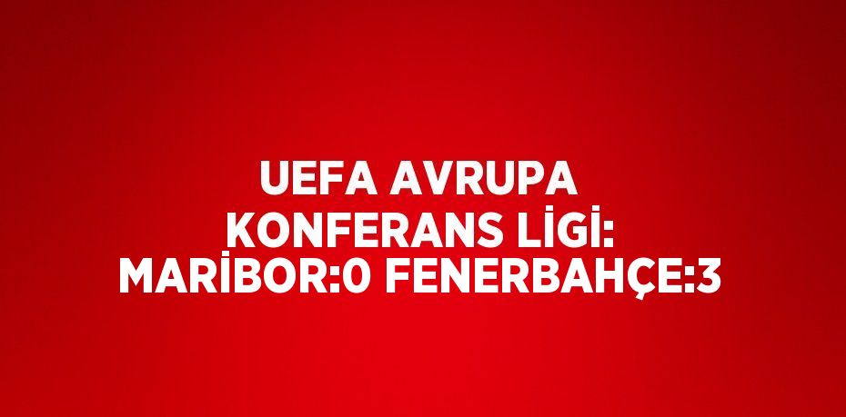UEFA AVRUPA KONFERANS LİGİ: MARİBOR:0 FENERBAHÇE:3