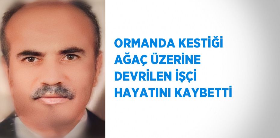 ORMANDA KESTİĞİ AĞAÇ ÜZERİNE DEVRİLEN İŞÇİ HAYATINI KAYBETTİ