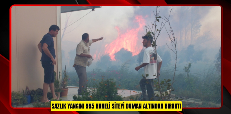 Sazlık yangını 995 haneli siteyi duman altından bıraktı