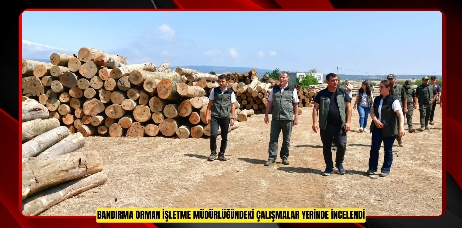 Bandırma Orman İşletme Müdürlüğündeki çalışmalar yerinde incelendi  