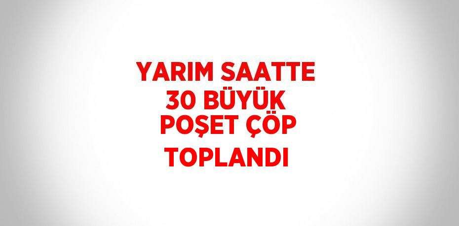 YARIM SAATTE 30 BÜYÜK POŞET ÇÖP TOPLANDI