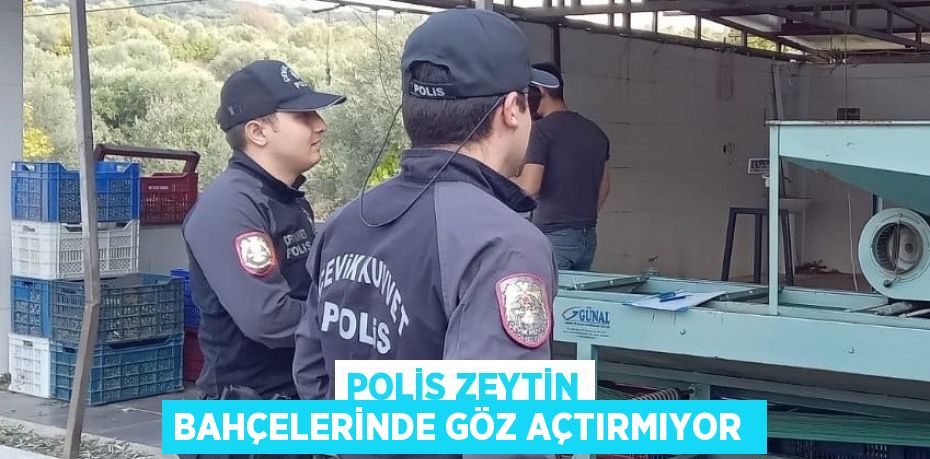 POLİS ZEYTİN BAHÇELERİNDE GÖZ AÇTIRMIYOR
