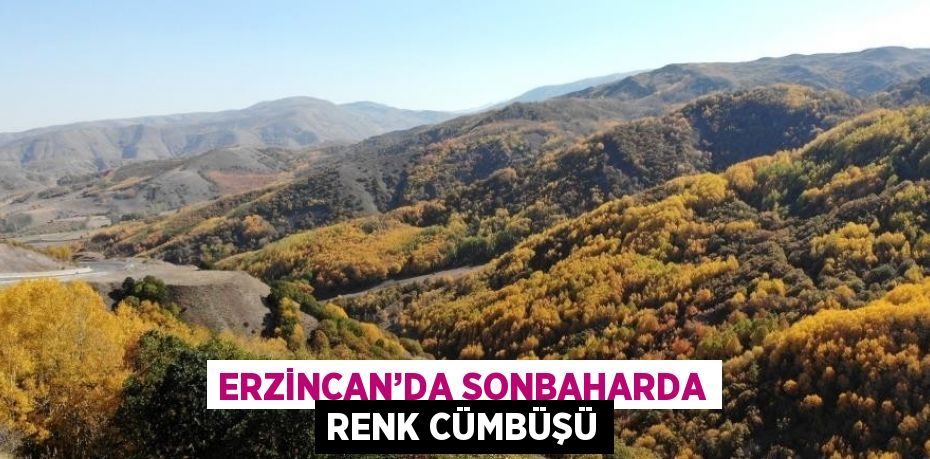 ERZİNCAN’DA SONBAHARDA RENK CÜMBÜŞÜ