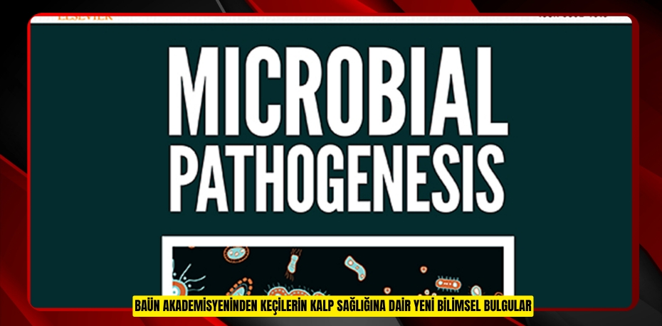 BAÜN AKADEMİSYENİNDEN KEÇİLERİN KALP SAĞLIĞINA DAİR YENİ BİLİMSEL BULGULAR