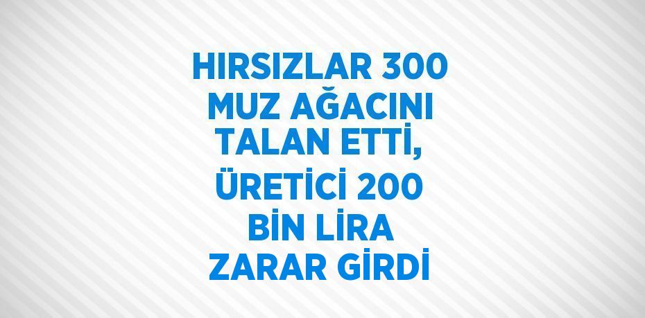 HIRSIZLAR 300 MUZ AĞACINI TALAN ETTİ, ÜRETİCİ 200 BİN LİRA ZARAR GİRDİ