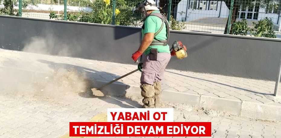 Yabani ot temizliği devam ediyor