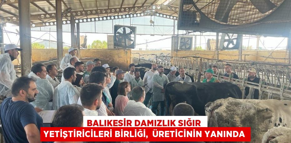 BALIKESİR DAMIZLIK SIĞIR YETİŞTİRİCİLERİ BİRLİĞİ, ÜRETİCİNİN YANINDA