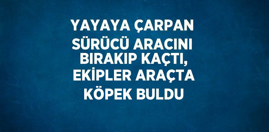 YAYAYA ÇARPAN SÜRÜCÜ ARACINI BIRAKIP KAÇTI, EKİPLER ARAÇTA KÖPEK BULDU
