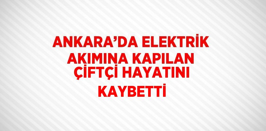 ANKARA’DA ELEKTRİK AKIMINA KAPILAN ÇİFTÇİ HAYATINI KAYBETTİ