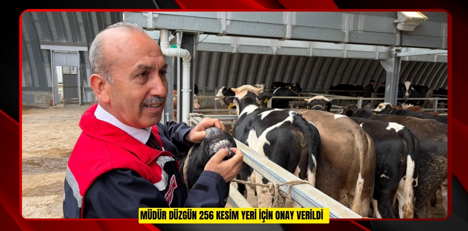 Müdür Düzgün: "256 kesim yeri için onay verildi"