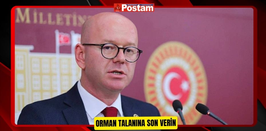 ORMAN TALANINA SON VERİN
