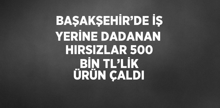 BAŞAKŞEHİR’DE İŞ YERİNE DADANAN HIRSIZLAR 500 BİN TL’LİK ÜRÜN ÇALDI