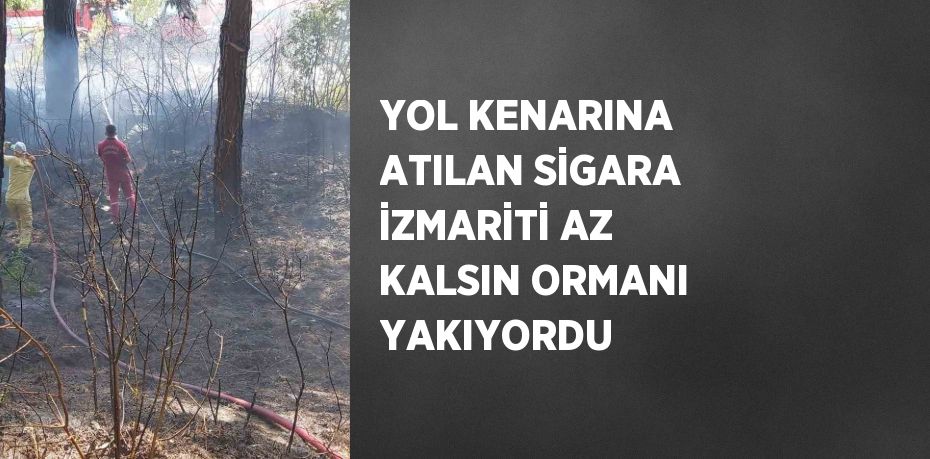 YOL KENARINA ATILAN SİGARA İZMARİTİ AZ KALSIN ORMANI YAKIYORDU
