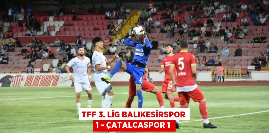 TFF 3. Lig Balıkesirspor 1 - Çatalcaspor 1