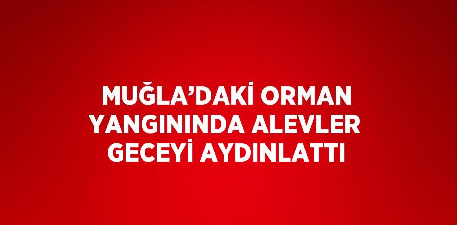 MUĞLA’DAKİ ORMAN YANGININDA ALEVLER GECEYİ AYDINLATTI