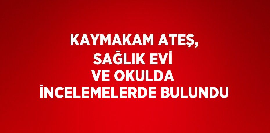 KAYMAKAM ATEŞ, SAĞLIK EVİ VE OKULDA İNCELEMELERDE BULUNDU