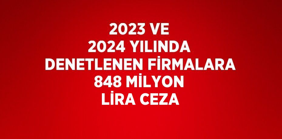 2023 VE 2024 YILINDA DENETLENEN FİRMALARA 848 MİLYON LİRA CEZA
